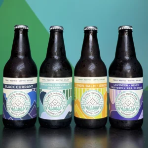 Black Currant Kombucha